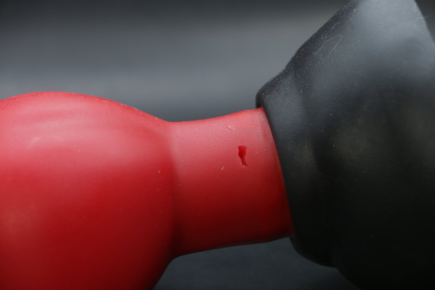 Large Dazza - Red/Black - Soft Dual Density
